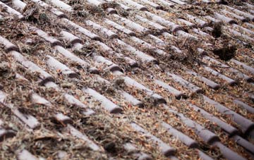 Low Gate roof cleaning companies