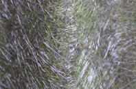 Low Gate fibreglass roof work