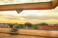 rated Low Gate roof window companies